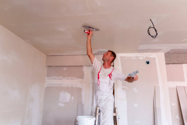 Best Ceiling Drywall Installation  in Truman, MN